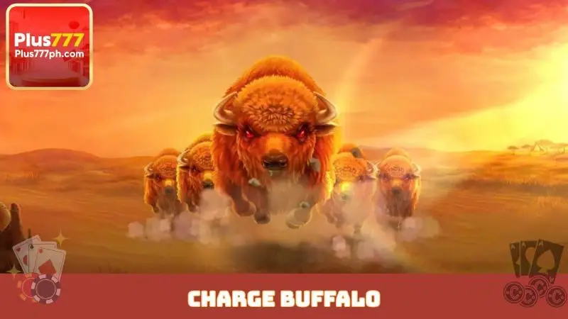 Charge Buffalo