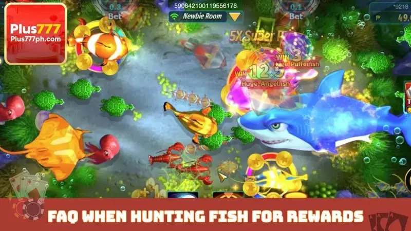 FAQ when hunting fish for rewards