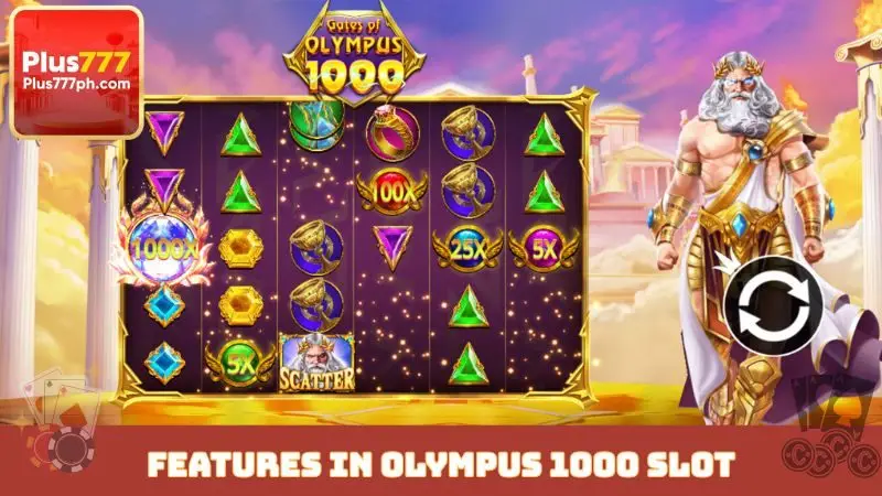 Features in Olympus 1000 slot